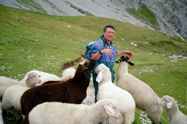 05a_guenter_unter_schafen.jpg