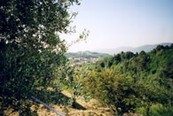 Blick von Monticello auf Sarzana