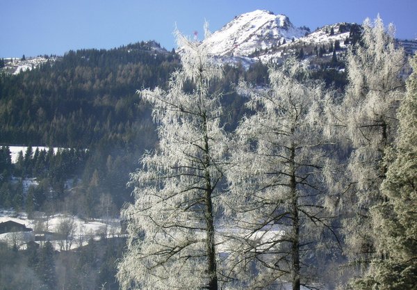 02_schlossalmblick.jpg