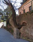 img_0738.jpg