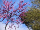 img_0572.jpg